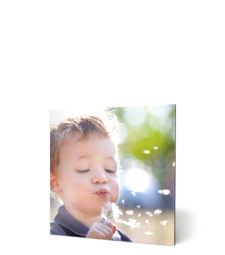 Tableau Photo Alu 60x60