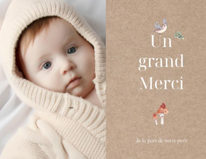 D&eacute;couvrir nos mod&egrave;les de faire-part