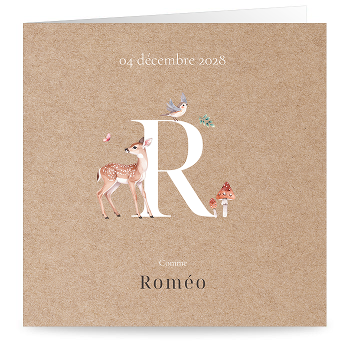 D&eacute;couvrir nos mod&egrave;les de faire-part